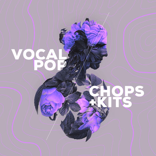 Audiomodern Vocal Pop for Loopmix