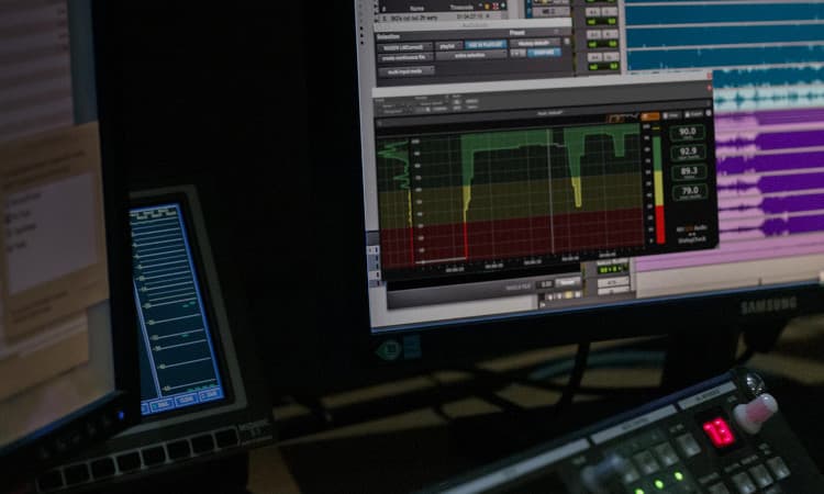 Nugen Audio Paragon ST screenshot 2