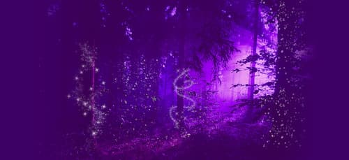 Nugen Audio Halo Vision screenshot 2
