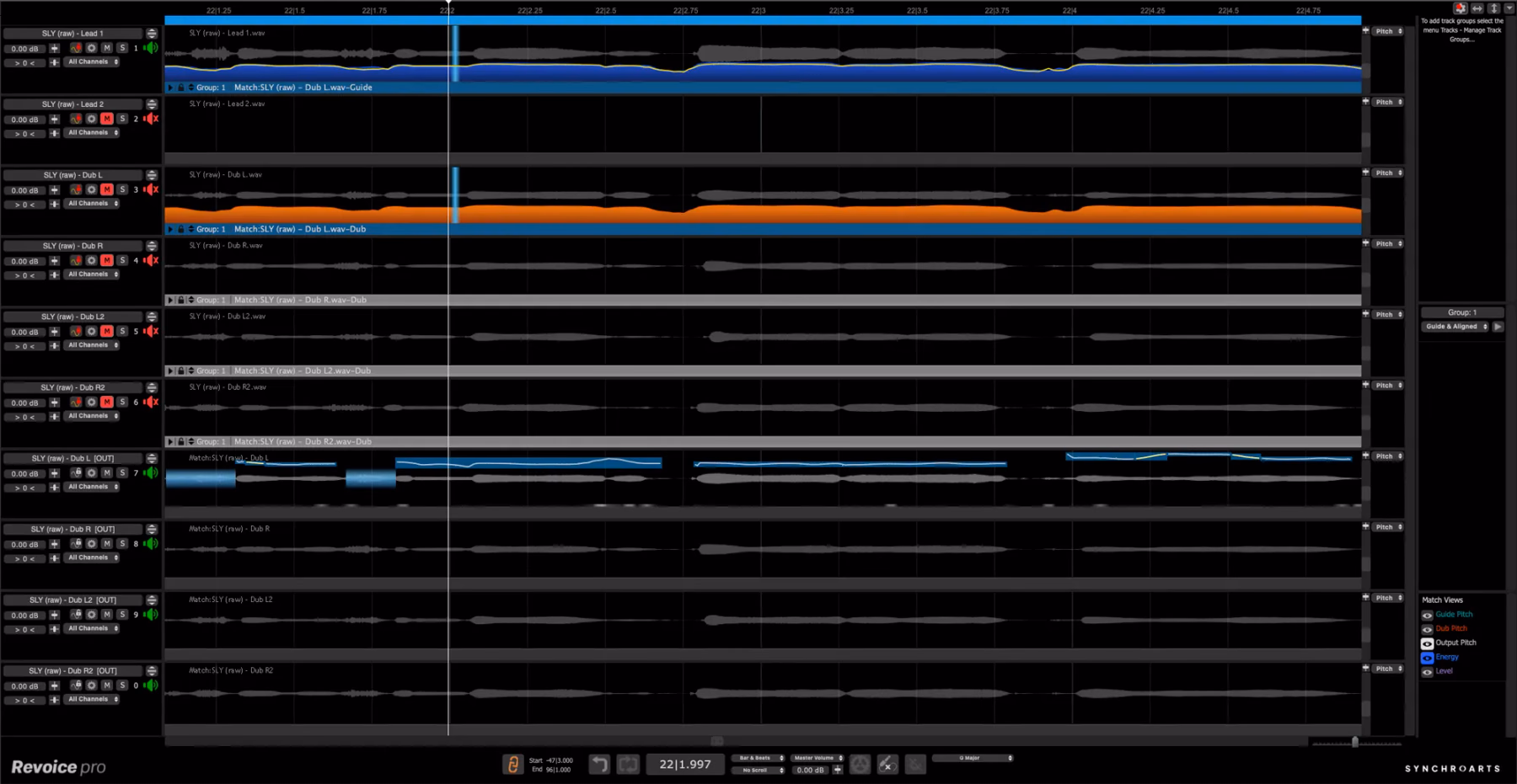 Synchro Arts Revoice Pro 5