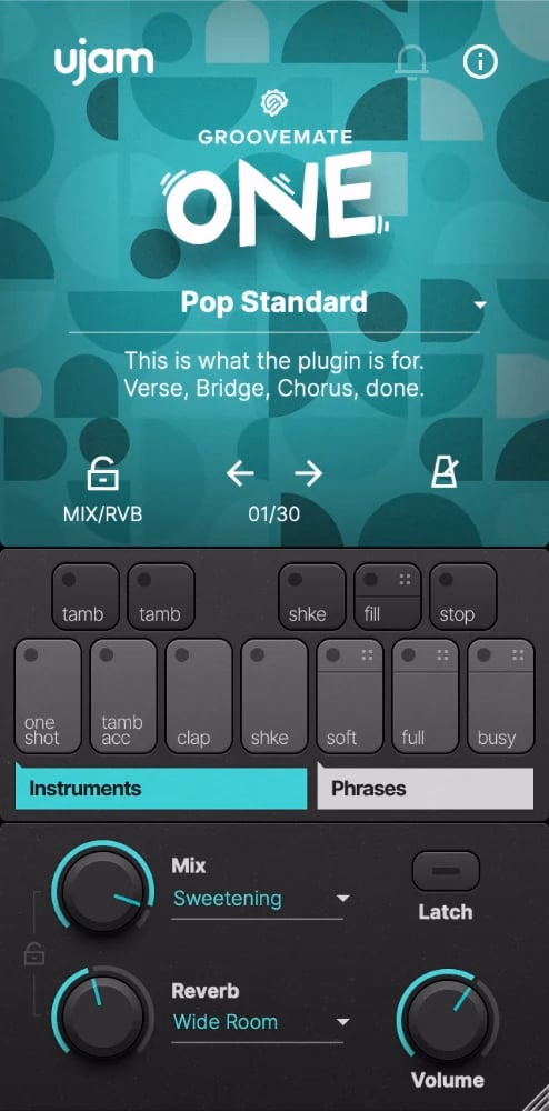 Ujam Groovemate ONE