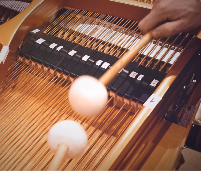 Vienna Symphonic Library Studio FX Piano Standard Library
